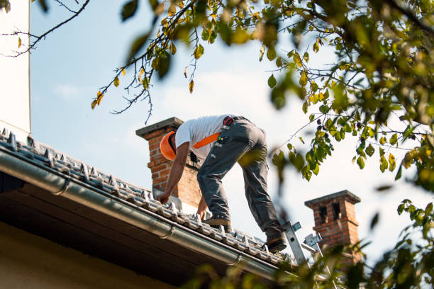 Best Chimney Flashing Repair  in English Creek, NJ